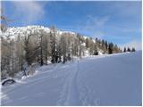 Planina Zajavornik - Brda
